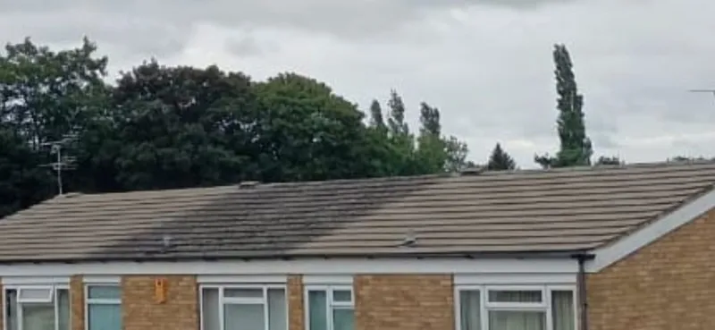 Moss and algae on a residential roof before cleaning